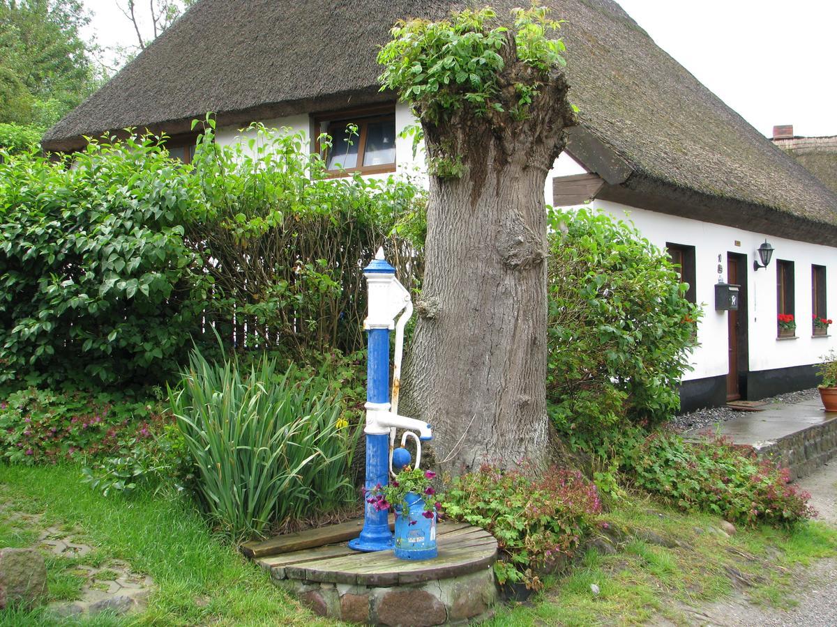 Ferienwohnung 2 Bei Familie Saupe Schaprode Exterior photo